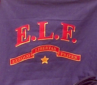 elf_flag.jpg