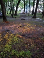 Wilson Wharf p1 (2).jpg