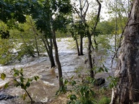 C&O pic 3.jpg