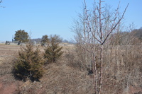 DSC_0601.JPG