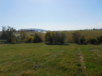 DSCN0558.JPG