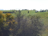 DSCN0559.JPG