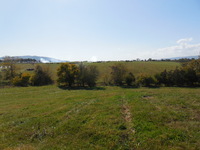 DSCN0560.JPG