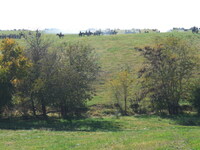 DSCN0562.JPG